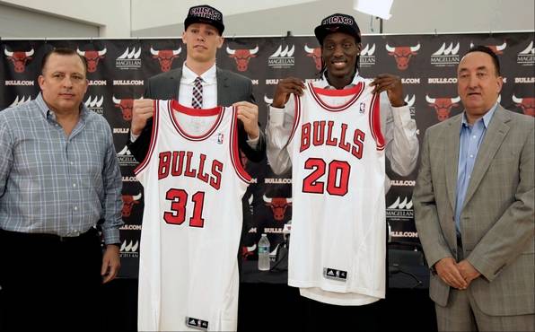 bulls